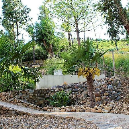 Oak Cottage Ferreira do Zezere Luaran gambar